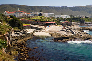 Hermanus Whale Cruises