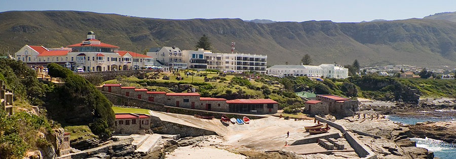 Hermanus Whale Cruises