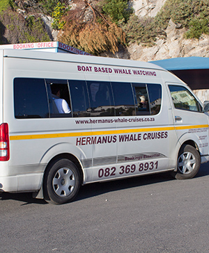 Hermanus Whale Cruises