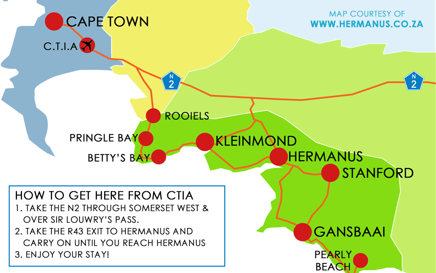 Hermanus Whale Cruises