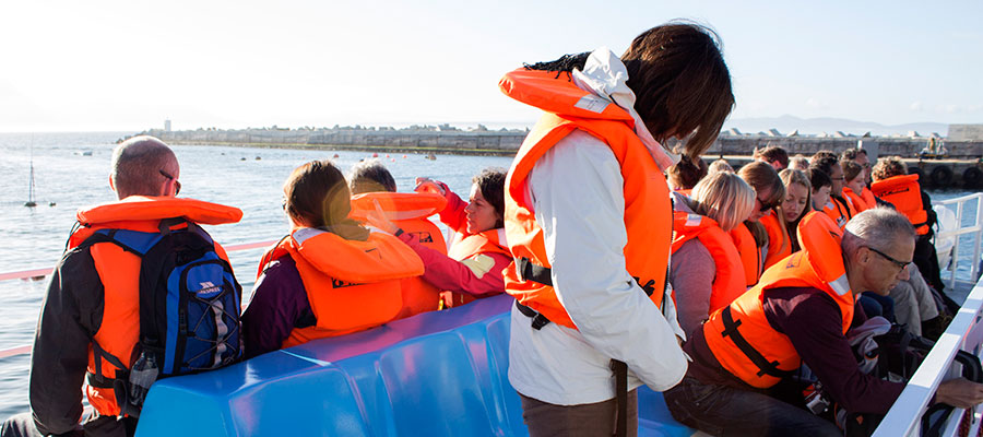 Hermanus Whale Cruises