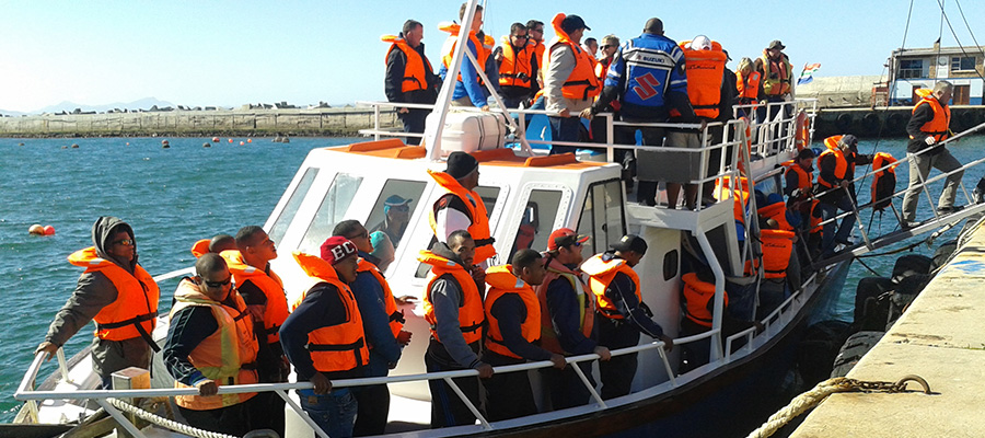 Hermanus Whale Cruises